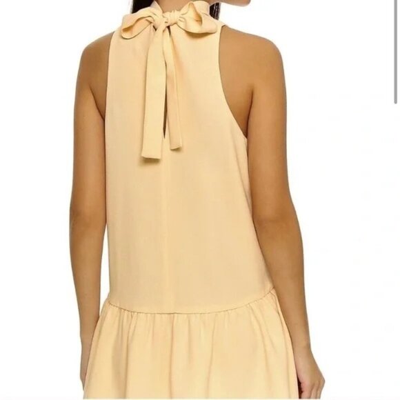 Elizabeth and James Trisha Highneck Dress in Butter Yellow - Size Small - Picture 9 of 10